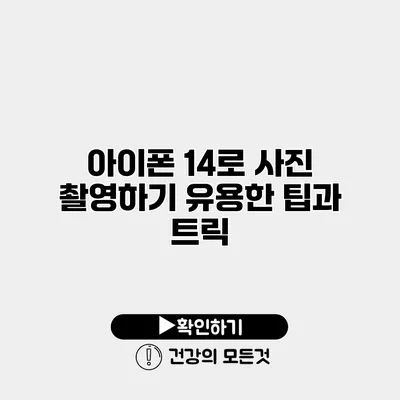 아이폰 14로 사진 촬영하기 유용한 팁과 트릭