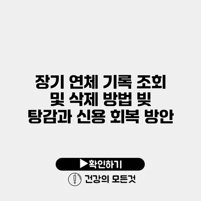 장기 연체 기록 조회 및 삭제 방법 빚 탕감과 신용 회복 방안
