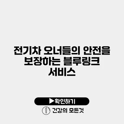 전기차 오너들의 안전을 보장하는 블루링크 서비스
