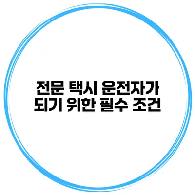전문 택시 운전자가 되기 위한 필수 조건