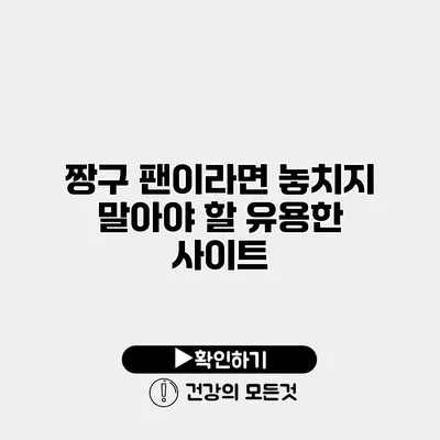 짱구 팬이라면 놓치지 말아야 할 유용한 사이트