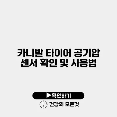 카니발 타이어 공기압 센서 확인 및 사용법