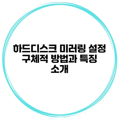하드디스크 미러링 설정 구체적 방법과 특징 소개