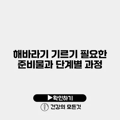 해바라기 기르기 필요한 준비물과 단계별 과정