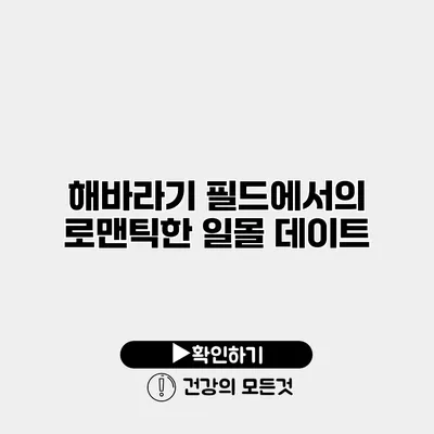 해바라기 필드에서의 로맨틱한 일몰 데이트