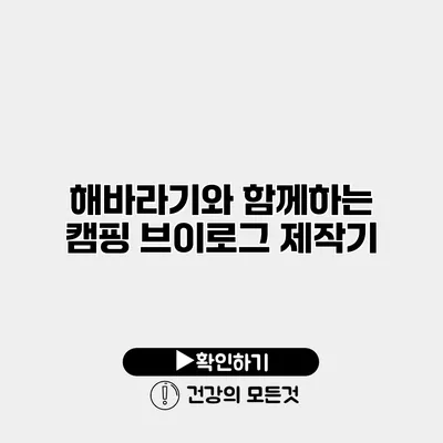 해바라기와 함께하는 캠핑 브이로그 제작기