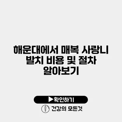 해운대에서 매복 사랑니 발치 비용 및 절차 알아보기